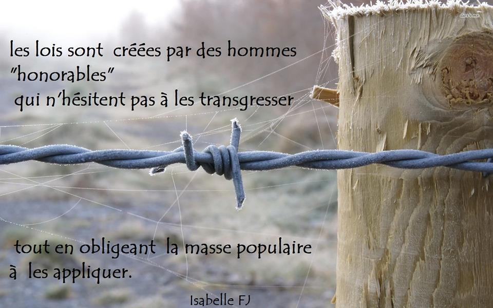 10422321_346775872191686_7133625173899989660_n